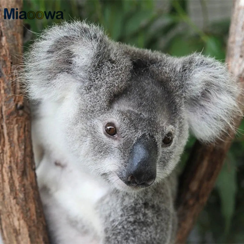 13/17Cm Super Cute Small Koala Bear Plush Toys Stuffed Animal Adventure Koala Doll Birthday Christmas Gift for Children Kids